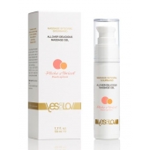 Универсальный массажный гель-смазка Allover Delicious Massage Gel с ароматом персика и аброкоса - 50 мл. - YESforLOV - купить с доставкой в Новокуйбышевске