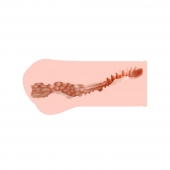 Мастурбатор-вагина Monica без вибрации - KOKOS - в Новокуйбышевске купить с доставкой