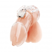 Прозрачная клетка целомудрия Acrylic See-thru Chastity Cage - BlueLine - купить с доставкой в Новокуйбышевске