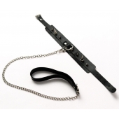 Черный ошейник с шипами и поводком - Crazy Handmade - купить с доставкой в Новокуйбышевске