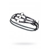 Черный кожаный пояс с кольцами - Pecado - купить с доставкой в Новокуйбышевске