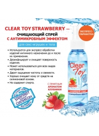 Очищающий спрей для игрушек CLEAR TOY Strawberry - 100 мл. - Биоритм - купить с доставкой в Новокуйбышевске