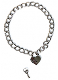 Серебристый ошейник Embrace с ключиком - Lola Games - купить с доставкой в Новокуйбышевске