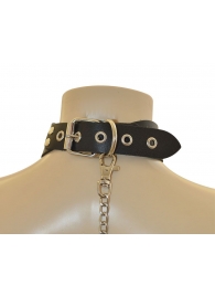 Ошейник  Веселый Роджер - Sitabella - купить с доставкой в Новокуйбышевске