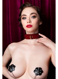 Красный ошейник из лакированного материала - ToyFa - купить с доставкой в Новокуйбышевске