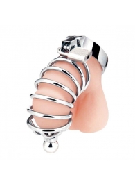 Серебристая клетка для члена Urethral Play Cage - BlueLine - купить с доставкой в Новокуйбышевске
