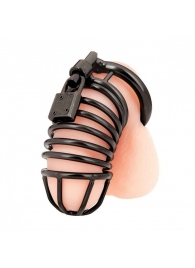 Черная металлическая клетка с замком Deluxe Chastity Cage - BlueLine - купить с доставкой в Новокуйбышевске