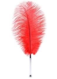 Красное страусовое пёрышко - ToyFa - купить с доставкой в Новокуйбышевске