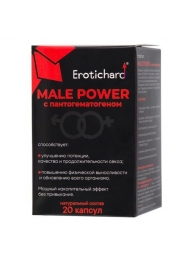 Капсулы для мужчин Erotichard male power с пантогематогеном - 20 капсул (0,370 гр.) - Erotic Hard - купить с доставкой в Новокуйбышевске