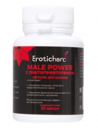 Капсулы для мужчин Erotichard male power с пантогематогеном - 20 капсул (0,370 гр.) - Erotic Hard - купить с доставкой в Новокуйбышевске