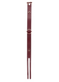 Бордовый ремень Halo Waist Belt - размер L-XL - Shots Media BV - купить с доставкой в Новокуйбышевске