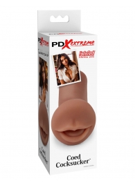 Мастурбатор-ротик Coed Cocksucker - Pipedream - в Новокуйбышевске купить с доставкой