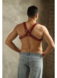 Черно-красная мужская портупея Black-Red - БДСМ Арсенал - купить с доставкой в Новокуйбышевске