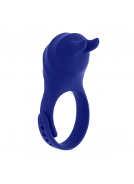 Синее эрекционное виброкольцо с клиторальной подушечкой и пультом ДУ Adjustable Fun Ring - Zero Tolerance - в Новокуйбышевске купить с доставкой