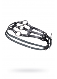 Черный кожаный пояс с кольцами - Pecado - купить с доставкой в Новокуйбышевске