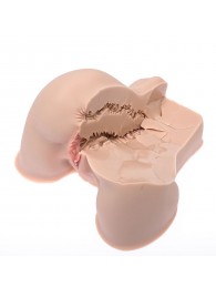 Мастурбатор-полуторс Naked Factory Kate - Naked Factory - в Новокуйбышевске купить с доставкой