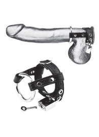 Утяжка на пенис на замочке Duo Cock And Ball Lock - BlueLine - купить с доставкой в Новокуйбышевске