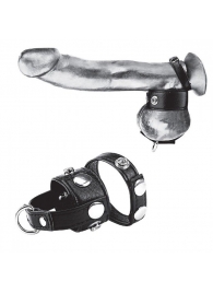 Утяжка для мошонки и пениса Cock Ring With 1  Ball Stretcher And Optional Weight Ring - BlueLine - купить с доставкой в Новокуйбышевске