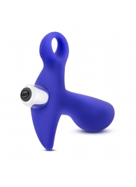 Синий стимулятор простаты с ручкой-кольцом Performance Prostimulator 02 - Blush Novelties - в Новокуйбышевске купить с доставкой