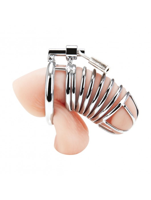 Металлическая клетка Deluxe Сhastity Сage с замком - BlueLine - купить с доставкой в Новокуйбышевске