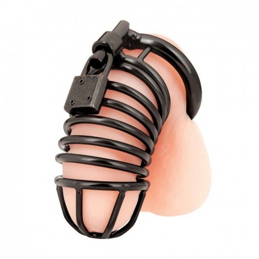 Черная металлическая клетка с замком Deluxe Chastity Cage - BlueLine - купить с доставкой в Новокуйбышевске