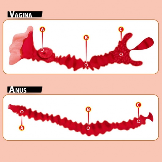 Мастурбатор-полуторс Adel с двумя любовными отверстиями - KOKOS - в Новокуйбышевске купить с доставкой
