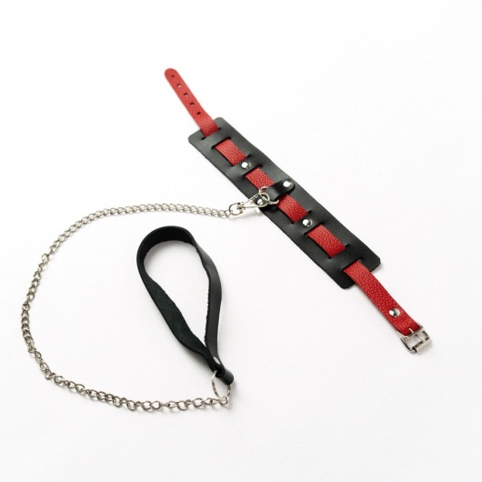Черный ошейник с красным ремешком и поводком - Crazy Handmade - купить с доставкой в Новокуйбышевске