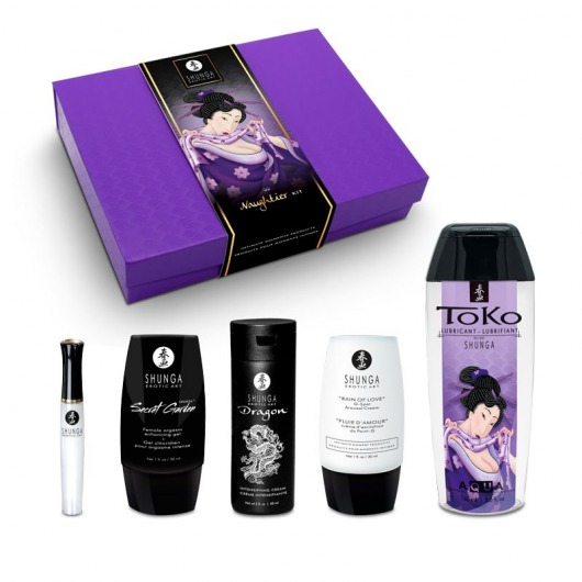 Подарочный набор Naughter Kit - Shunga - купить с доставкой в Новокуйбышевске