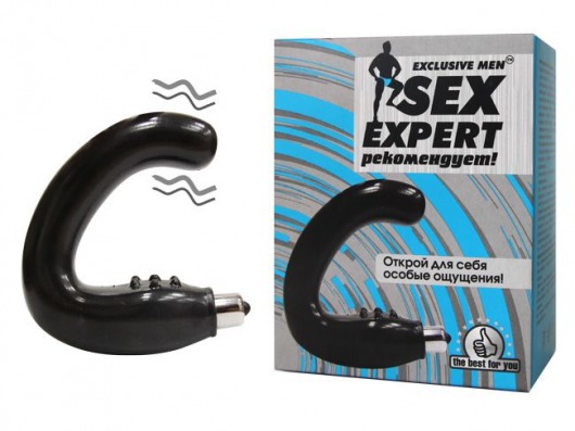 Чёрный массажёр простаты серии Sex Expert - Sex Expert - в Новокуйбышевске купить с доставкой