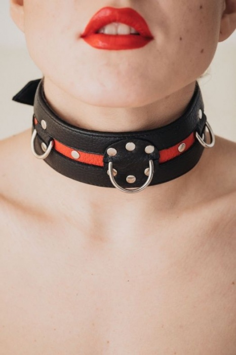 Черно-красный ошейник на пряжке - БДСМ Арсенал - купить с доставкой в Новокуйбышевске