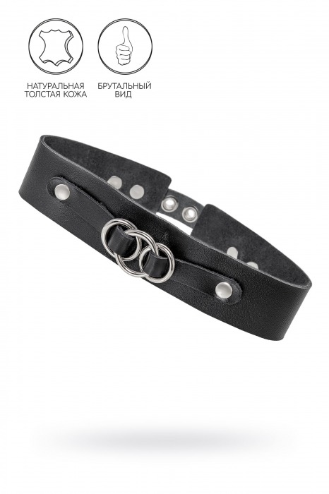 Черный чокер-ошейник со связанными кольцами на подложке - Pecado - купить с доставкой в Новокуйбышевске