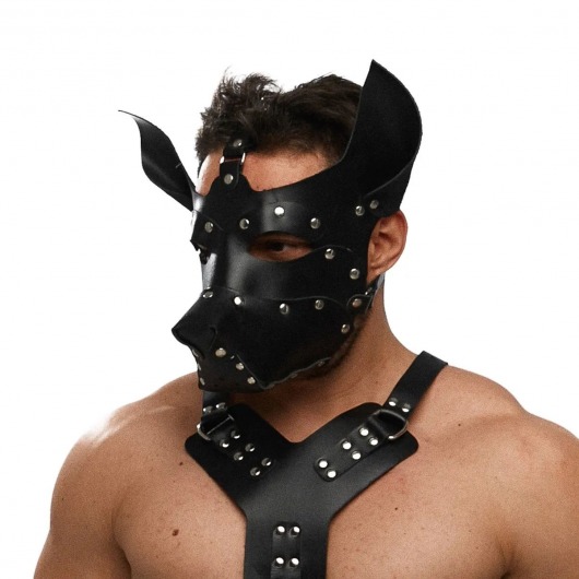 Черная кожаная маска «Собака» - Crazy Handmade - купить с доставкой в Новокуйбышевске