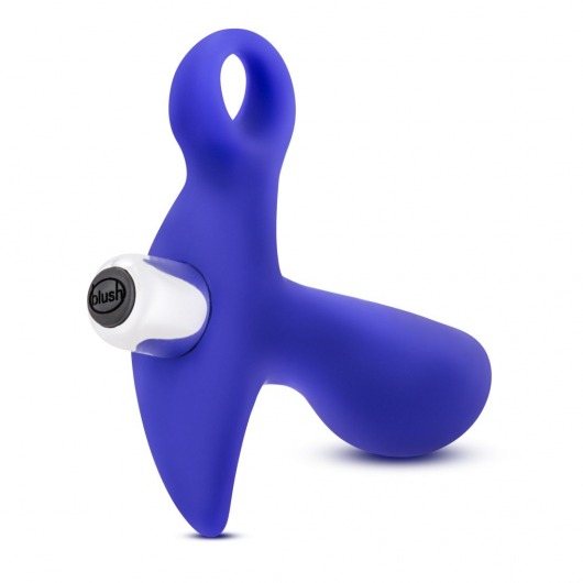 Синий стимулятор простаты с ручкой-кольцом Performance Prostimulator 02 - Blush Novelties - в Новокуйбышевске купить с доставкой