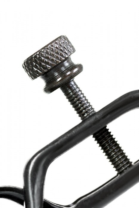 Черно-золотистые зажимы для сосков TOYFA Theatre - ToyFa - купить с доставкой в Новокуйбышевске