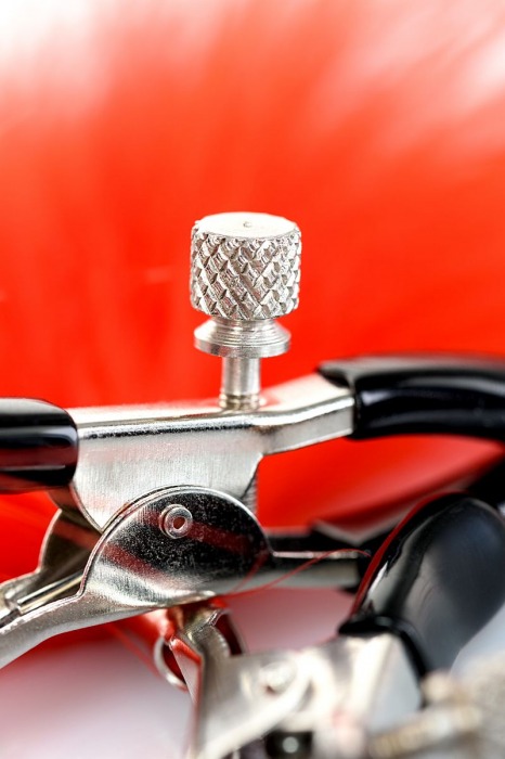 Зажимы для сосков с красным пухом Theatre - ToyFa - купить с доставкой в Новокуйбышевске