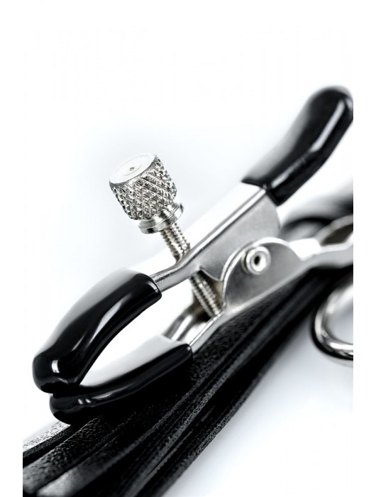 Черно-серебристые зажимы для сосков Theatre с кисточками - ToyFa - купить с доставкой в Новокуйбышевске