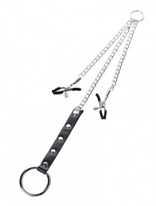 Серебристо-чёрные зажимы для сосков с кольцом для пениса TOYFA Metal - ToyFa - купить с доставкой в Новокуйбышевске